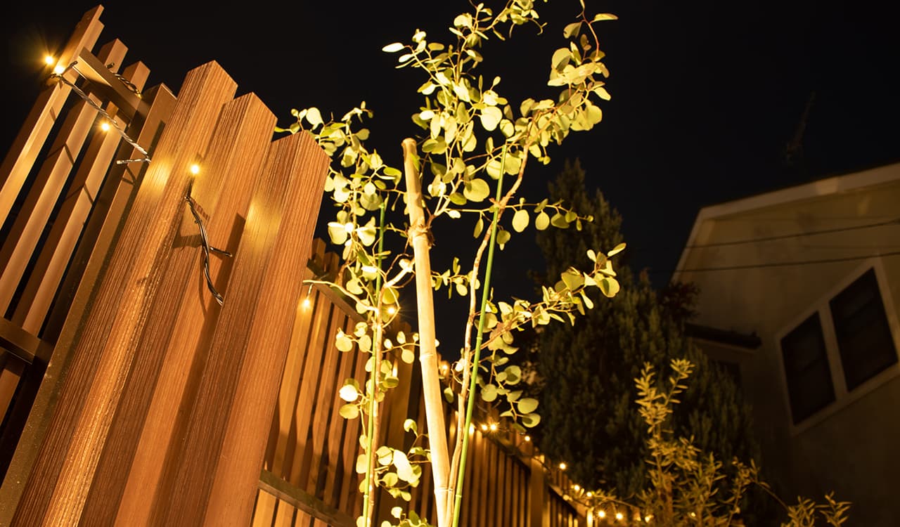 ユーカリ・ポポラス