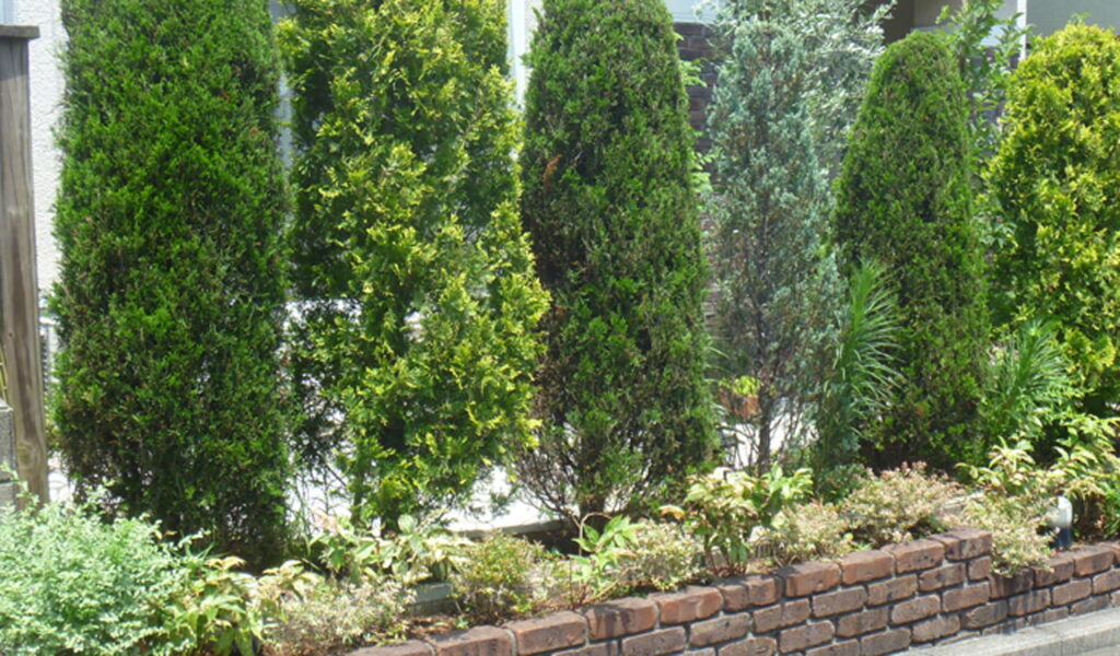 植栽豊かな花壇へのリフォーム