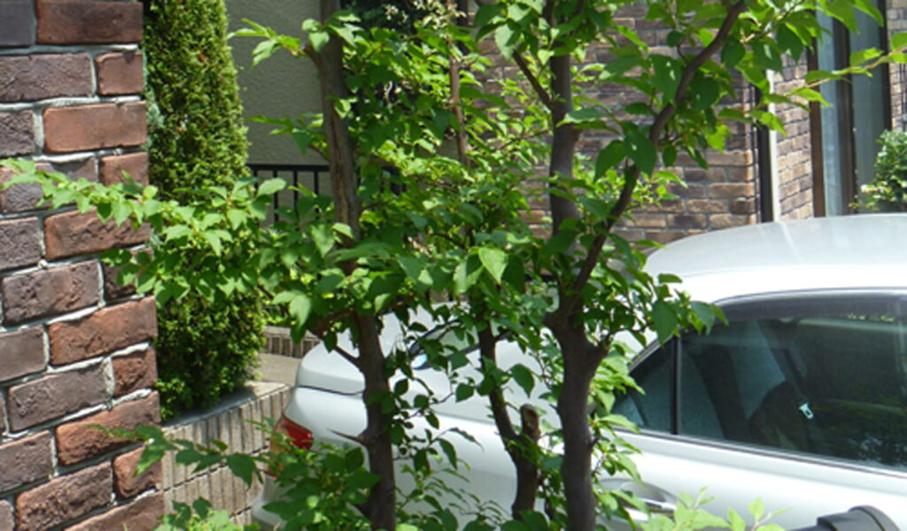 植栽豊かな花壇へのリフォーム