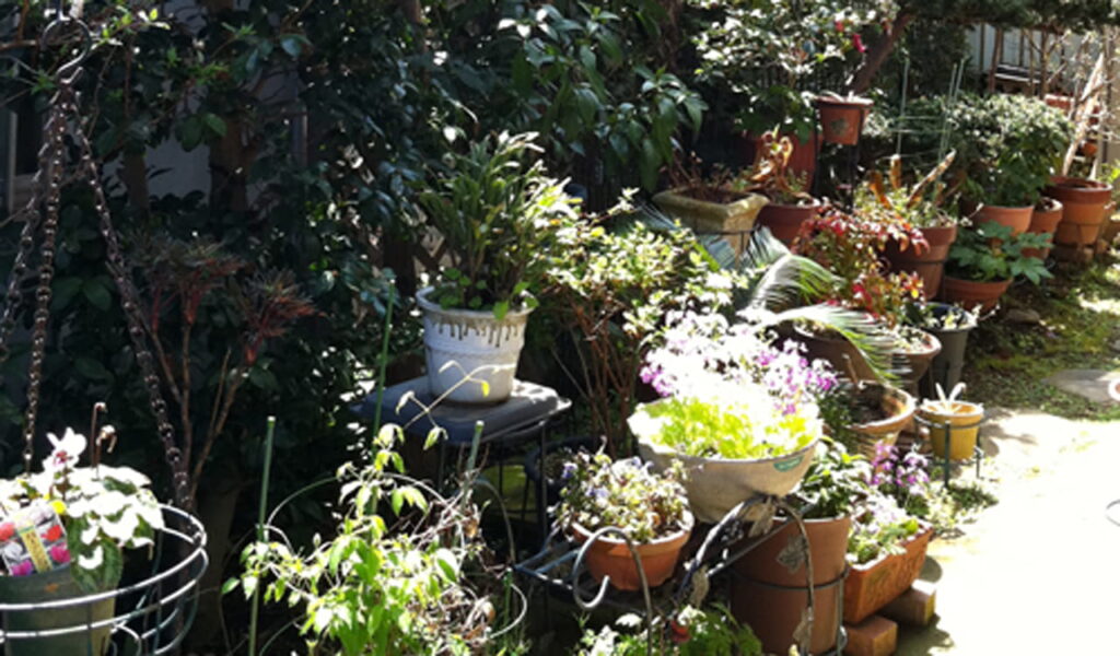 鉢植え楽しむガーデニングライフ向け外構リフォーム