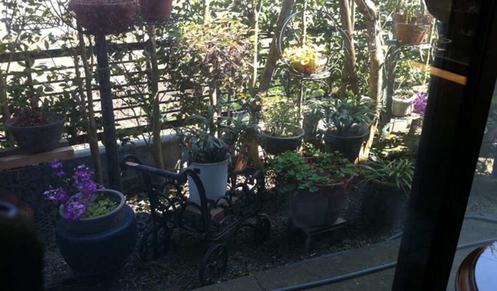 鉢植え楽しむガーデニングライフ向け外構リフォーム