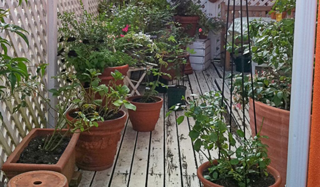 豊かな自然と調和したイングリッシュガーデンとウッドデッキの施工事例