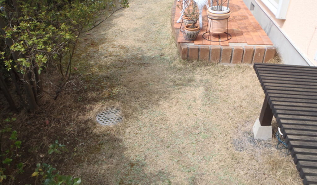 鉄平石の乱貼りでナチュラルガーデン