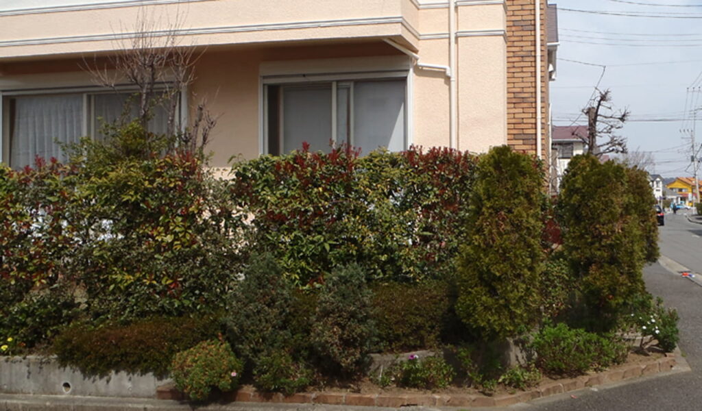 鉄平石の乱貼りでナチュラルガーデン