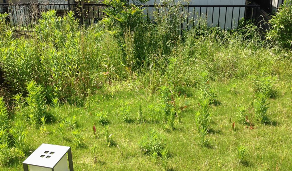 お子様が安全に遊べるお庭のエクステリアリフォーム