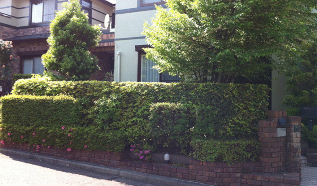 手間いらずのナチュラルガーデン