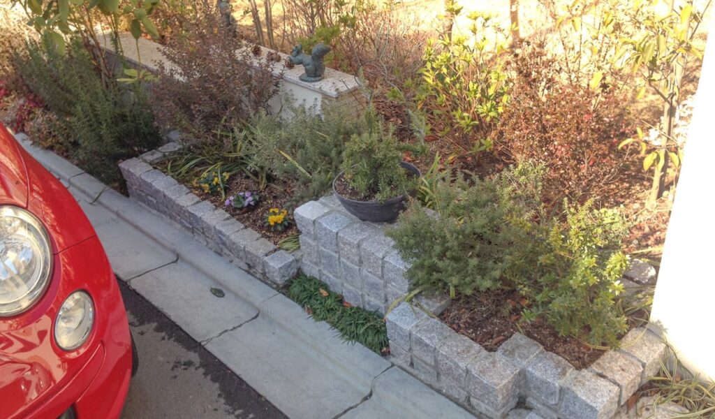 ペットと過ごすガーデンルーム×ウッドデッキ