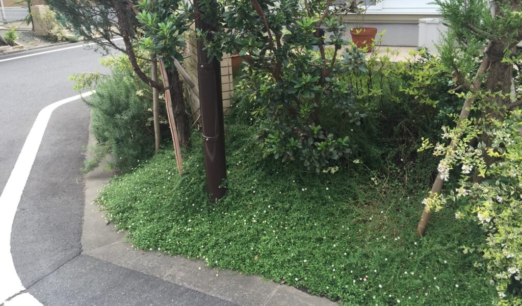 四季折々を感じるお庭リフォーム事例