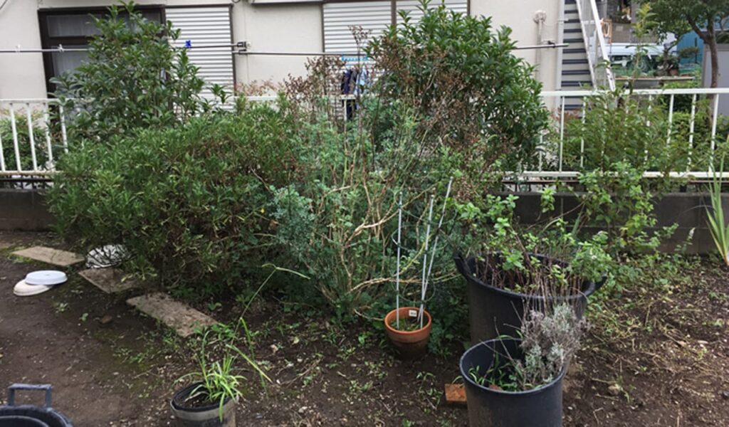 プライバシー確保とガーデニングを楽しむナチュラル外構リフォーム