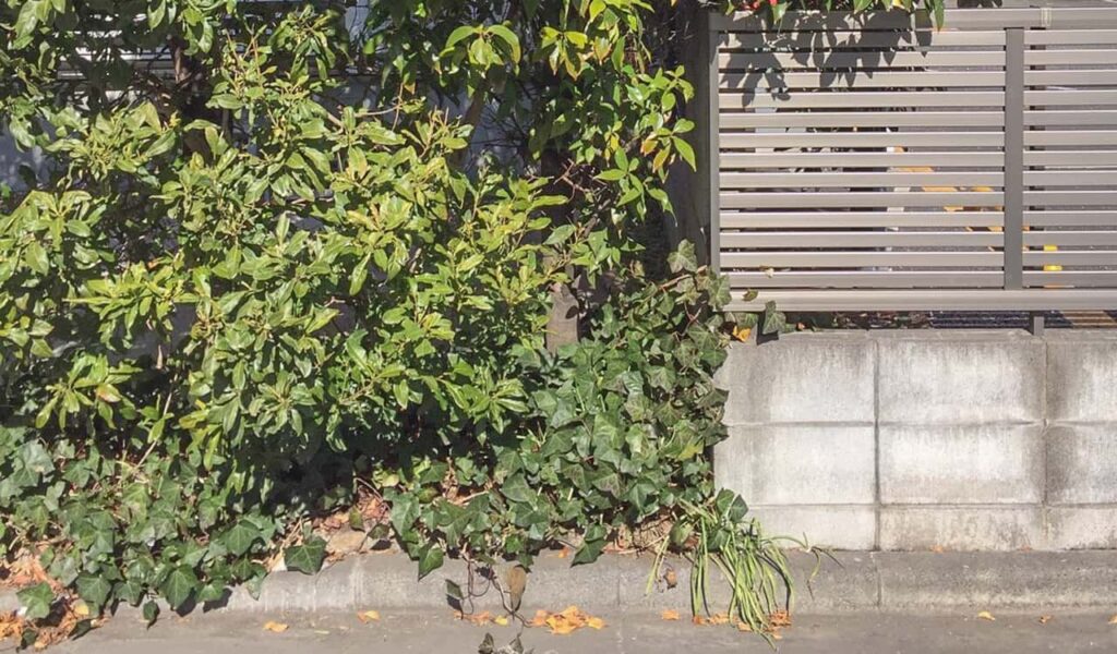 珊瑚石と化粧ブロックのカルフォルニア風外構リフォーム