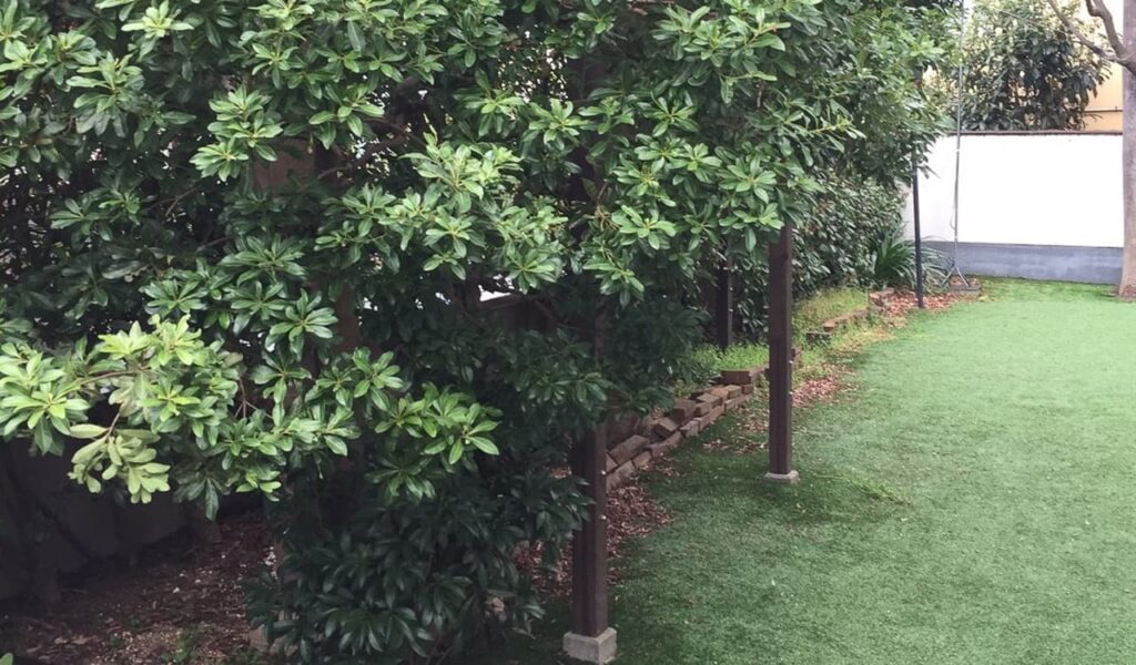 愛犬と楽しむナイトガーデンリフォーム