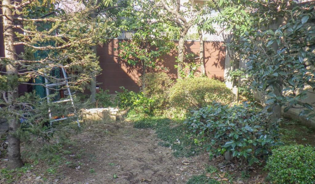 愛犬と孫と楽しむ自然体のお庭リフォーム事例