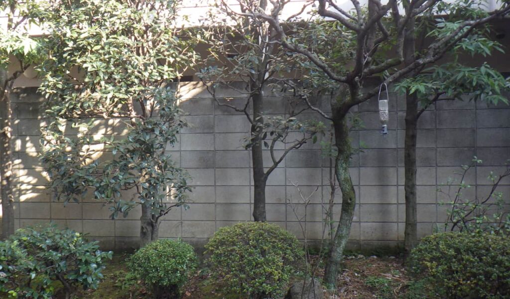 愛犬と孫と楽しむ自然体のお庭リフォーム事例