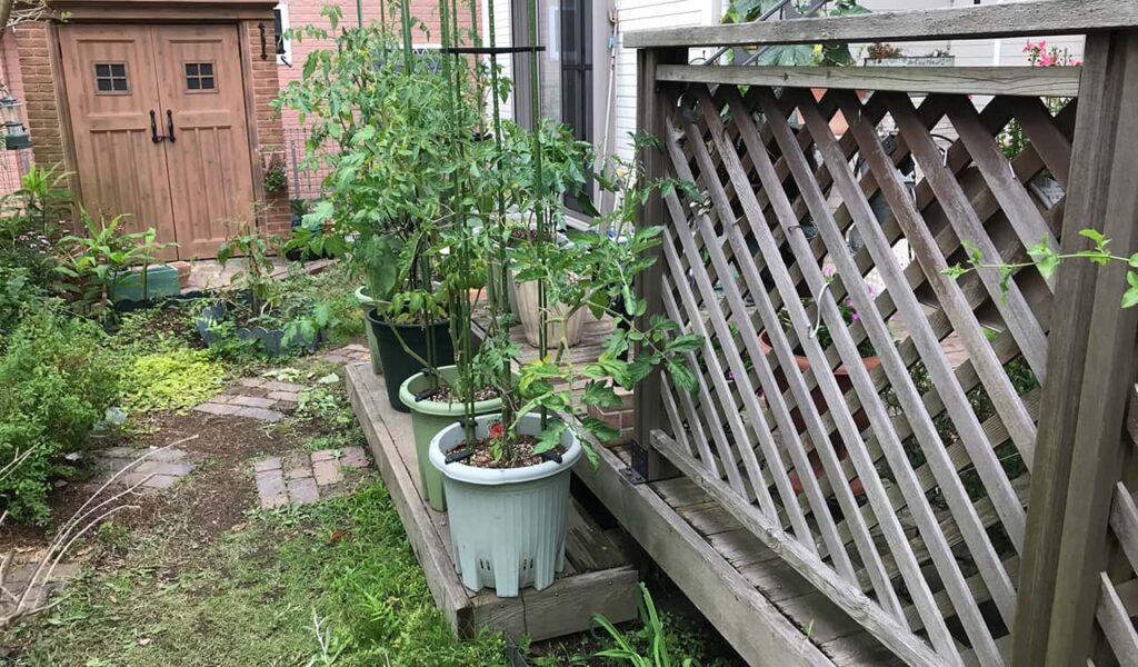 食べる、くつろぐ、アウトドアリビング