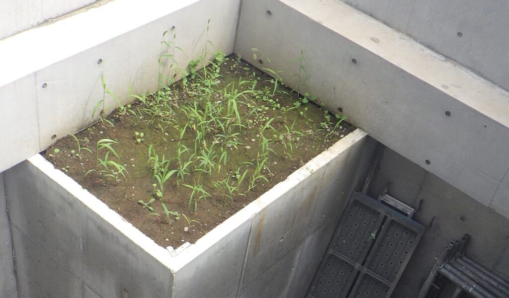 光と影が彩るホテル風ドライエリア