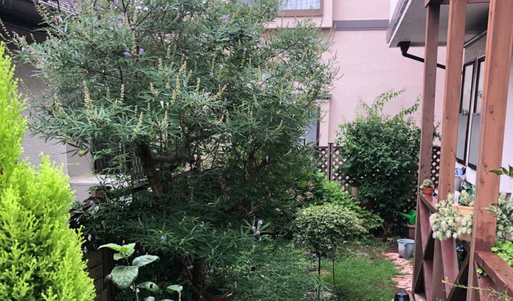 雨の日も楽しむガーデンルーム