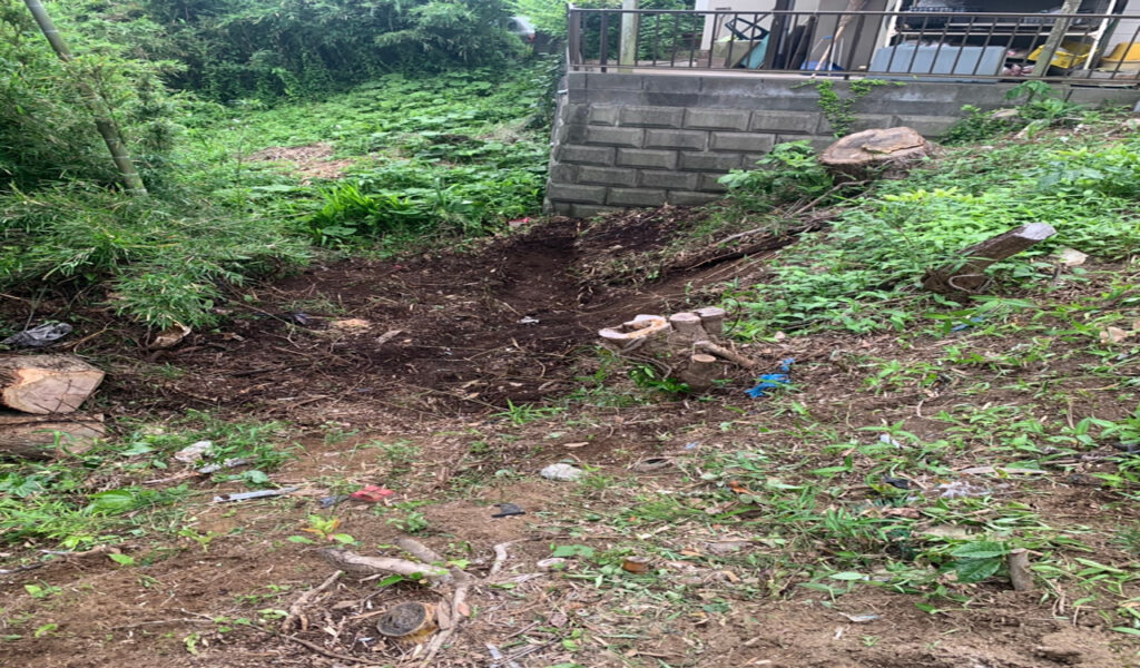 古都の杜に佇む、開放感あふれるウッドデッキ